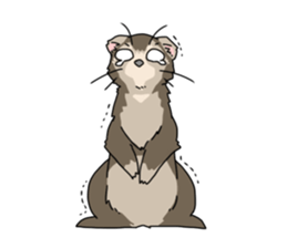 sticker of ferret sticker #11019558
