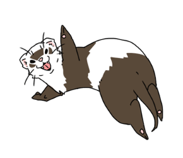 sticker of ferret sticker #11019559