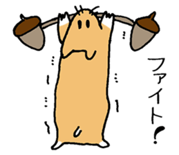 humstar momo sticker #11020382