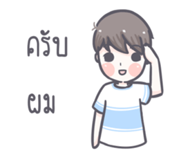 Saifon sticker #11022634