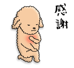 Happy days of Toy Poodle Part3 sticker #11023441