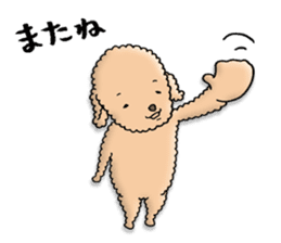 Happy days of Toy Poodle Part3 sticker #11023442