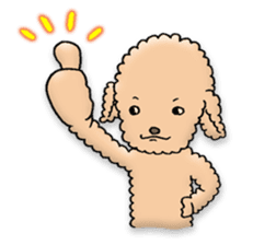 Happy days of Toy Poodle Part3 sticker #11023445