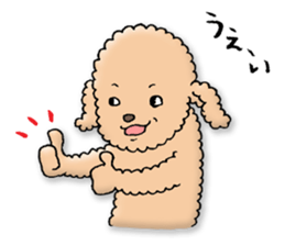 Happy days of Toy Poodle Part3 sticker #11023446