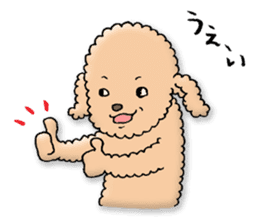 Happy days of Toy Poodle Part3 sticker #11023446