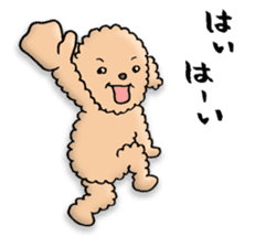 Happy days of Toy Poodle Part3 sticker #11023447