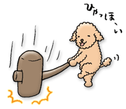 Happy days of Toy Poodle Part3 sticker #11023451