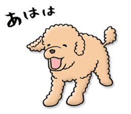 Happy days of Toy Poodle Part3 sticker #11023452