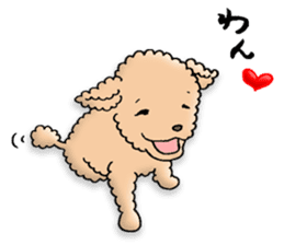 Happy days of Toy Poodle Part3 sticker #11023453