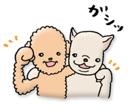 Happy days of Toy Poodle Part3 sticker #11023456