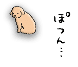 Happy days of Toy Poodle Part3 sticker #11023461