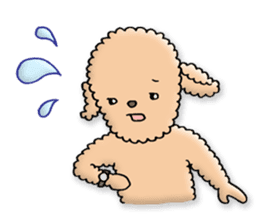 Happy days of Toy Poodle Part3 sticker #11023470