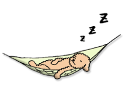 Happy days of Toy Poodle Part3 sticker #11023476