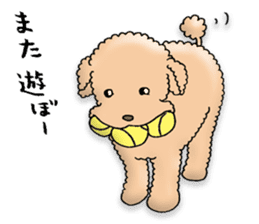 Happy days of Toy Poodle Part3 sticker #11023479