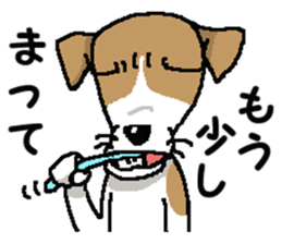 Jack dog 3 sticker #11024964