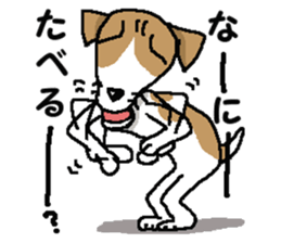 Jack dog 3 sticker #11024977