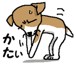 Jack dog 3 sticker #11024979