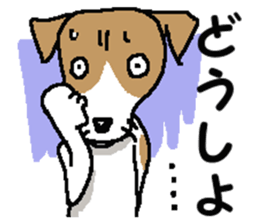 Jack dog 3 sticker #11024980