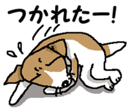 Jack dog 3 sticker #11024985