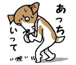 Jack dog 3 sticker #11024986