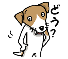 Jack dog 3 sticker #11024987