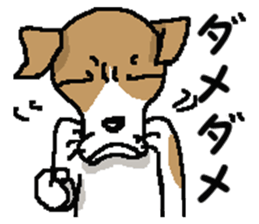 Jack dog 3 sticker #11024989