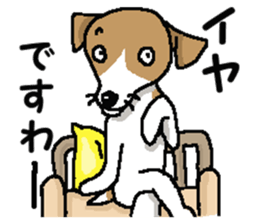 Jack dog 3 sticker #11024992