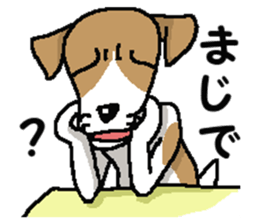 Jack dog 3 sticker #11024996