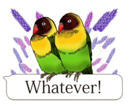 Birds and flowers and balloon (English) sticker #11025814