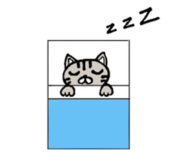 Plain-looking cat Coco sticker #11027566