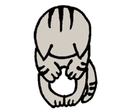 Plain-looking cat Coco sticker #11027573