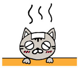 Plain-looking cat Coco sticker #11027581
