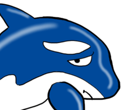 Killer whale sticker #11027605