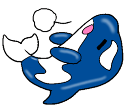 Killer whale sticker #11027607