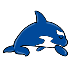 Killer whale sticker #11027609