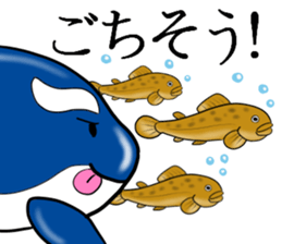 Killer whale sticker #11027615