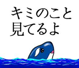 Killer whale sticker #11027616