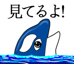 Killer whale sticker #11027617
