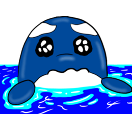 Killer whale sticker #11027627
