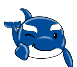 Killer whale sticker #11027633