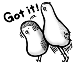 A Birdie's Life / English edition sticker #11031247