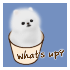 Cute White Pomeranian (English Ver.)