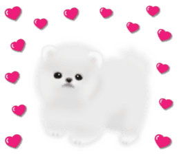 Cute White Pomeranian (English Ver.) sticker #11032680