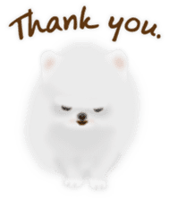 Cute White Pomeranian (English Ver.) sticker #11032681
