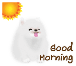 Cute White Pomeranian (English Ver.) sticker #11032684