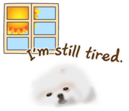 Cute White Pomeranian (English Ver.) sticker #11032685