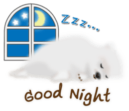 Cute White Pomeranian (English Ver.) sticker #11032687