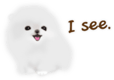 Cute White Pomeranian (English Ver.) sticker #11032698