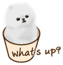 Cute White Pomeranian (English Ver.) sticker #11032700