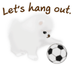 Cute White Pomeranian (English Ver.) sticker #11032702